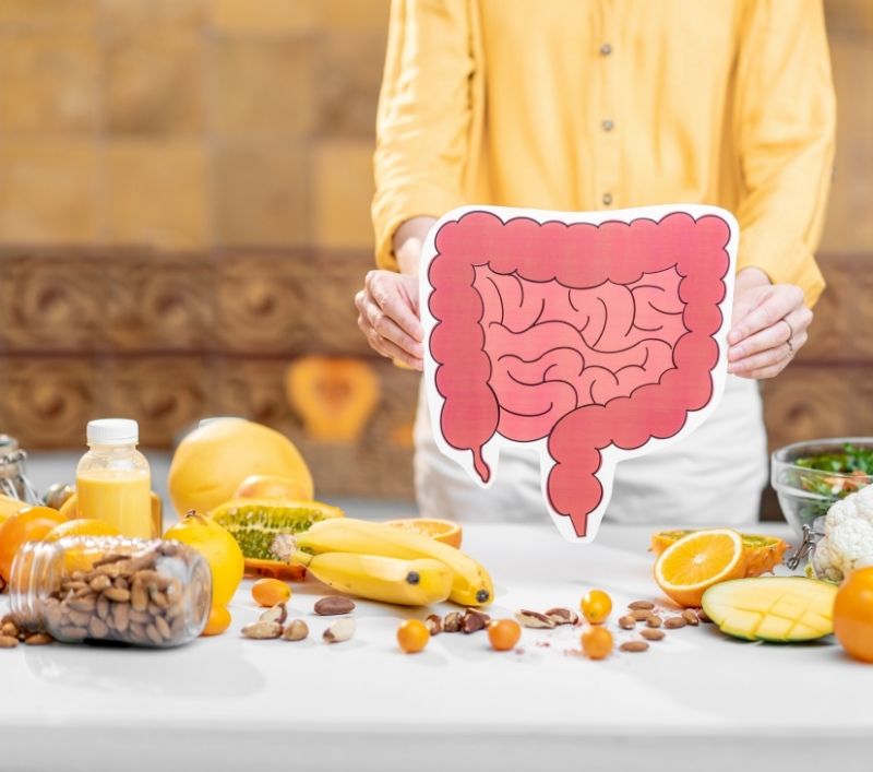 Gut